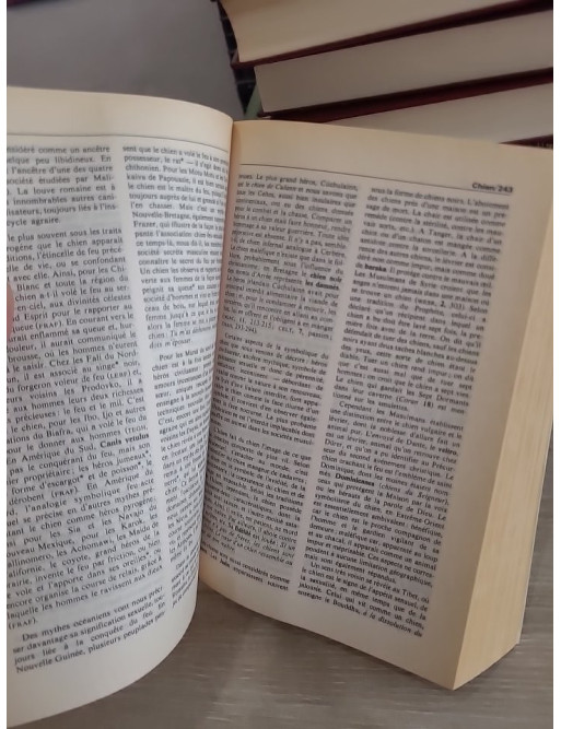 Dictionnaire des symboles - Mythes, rêves, coutumes, gestes, formes, figures, couleurs, nombres