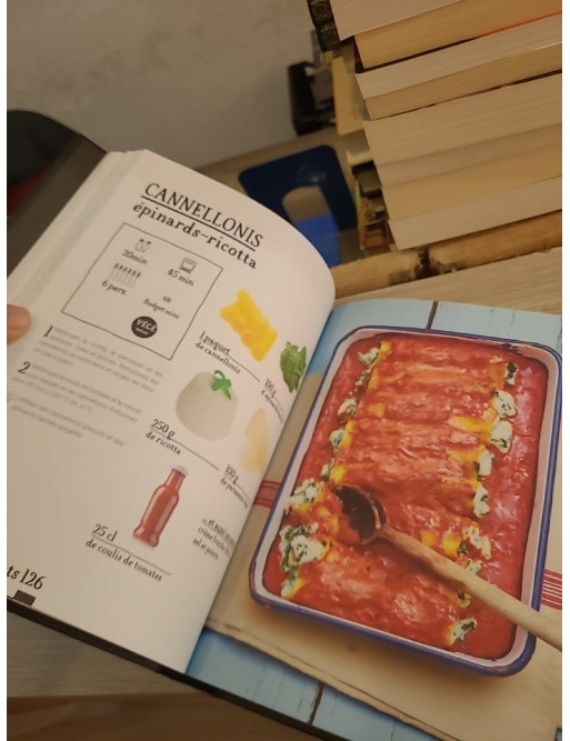 200 Recettes Rapides et Inratables - Cuisine Facile et Express du Quotidien