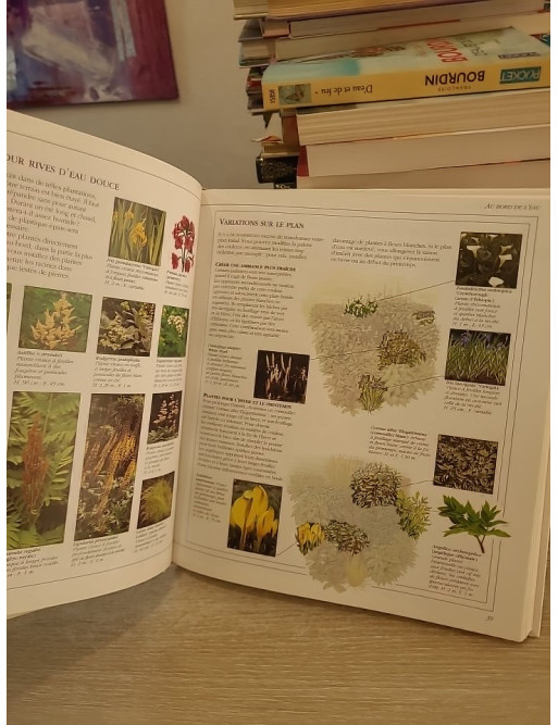 Aménagez votre jardin - Plans de plantation et conseils pour un jardin harmonieux