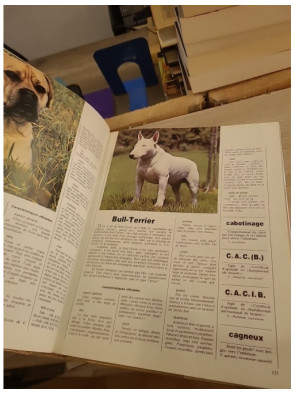 Larousse du chien - Guide complet des races, soins et éducation canine