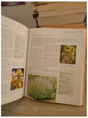 Die schönsten Gartenpflanzen - Blumen, Stauden und Ziergehölze, guide des plantes de jardin