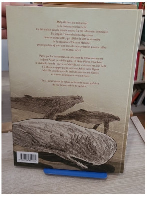 À la recherche de Moby Dick Tome 1 - Adaptation illustrée du classique de Melville