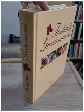 Instants gourmands - menus pour tous les jours et 500 recettes illustrées