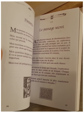 Enigma V01 - 250 énigmes et jeux de logique pour stimuler l'esprit