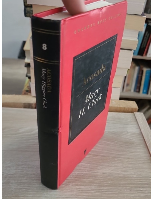 Acosada - thriller en espagnol