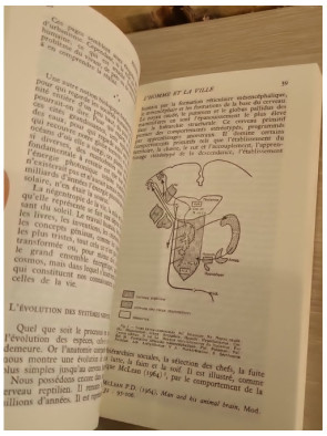 L'homme et la ville - réflexion sur les comportements humains et l'organisation urbaine
