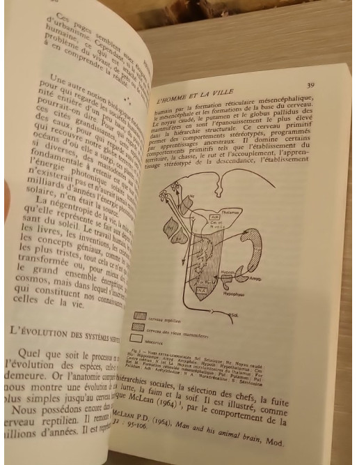 L'homme et la ville - réflexion sur les comportements humains et l'organisation urbaine