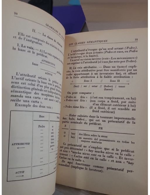 Grammaire de l'espagnol - Guide complet Que Sais-Je ?