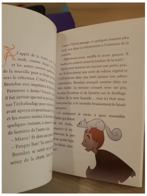 Brendan et le secret de Kells - Roman jeunesse inspiré du film