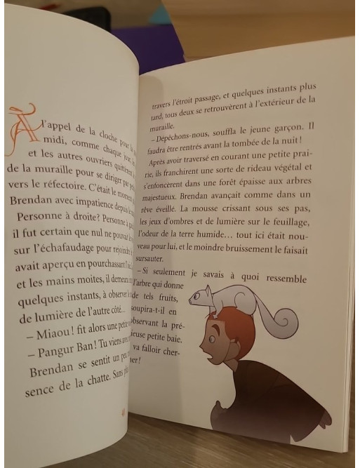 Brendan et le secret de Kells - Roman jeunesse inspiré du film