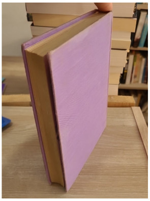 Lettres de mon moulin - Édition illustrée par Palayer