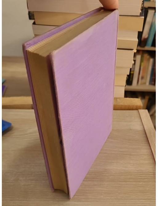 Lettres de mon moulin - Édition illustrée par Palayer