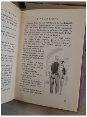 Lettres de mon moulin - Édition illustrée par Palayer