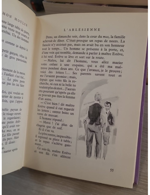 Lettres de mon moulin - Édition illustrée par Palayer