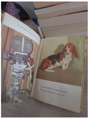 Cleo - Livre jeunesse illustré par I. Shapiro