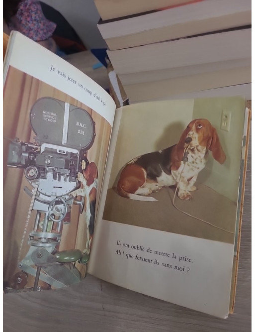 Cleo - Livre jeunesse illustré par I. Shapiro