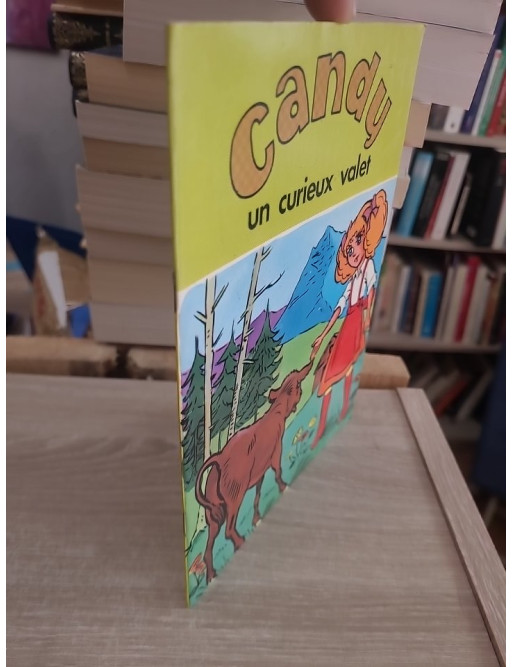 Candy - Un curieux valet