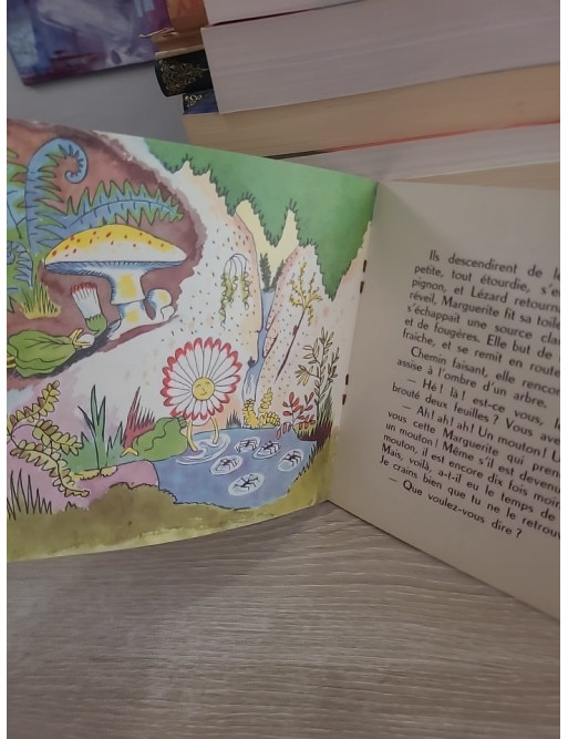 Conte de la marguerite - Album du Père Castor