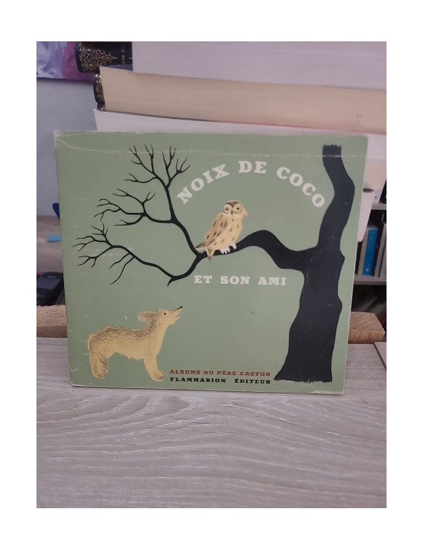 Noix de Coco et son ami - Album jeunesse Flammarion