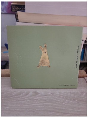 Noix de Coco et son ami - Album jeunesse Flammarion