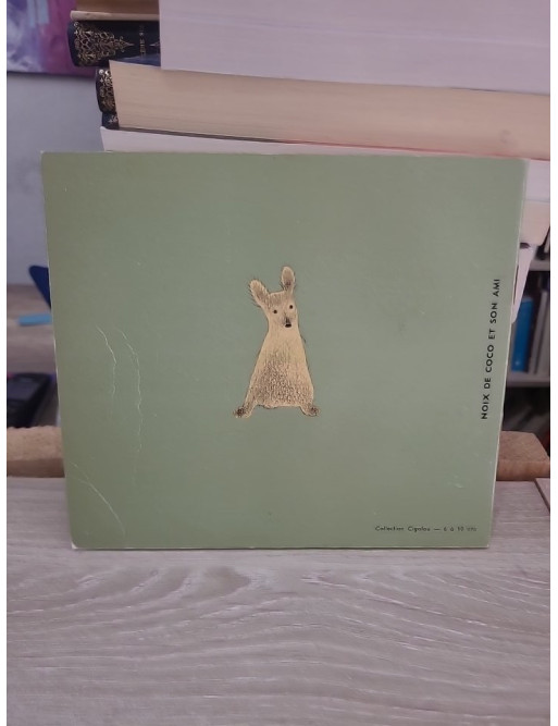 Noix de Coco et son ami - Album jeunesse Flammarion