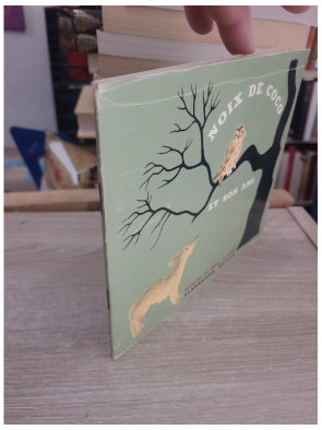 Noix de Coco et son ami - Album jeunesse Flammarion