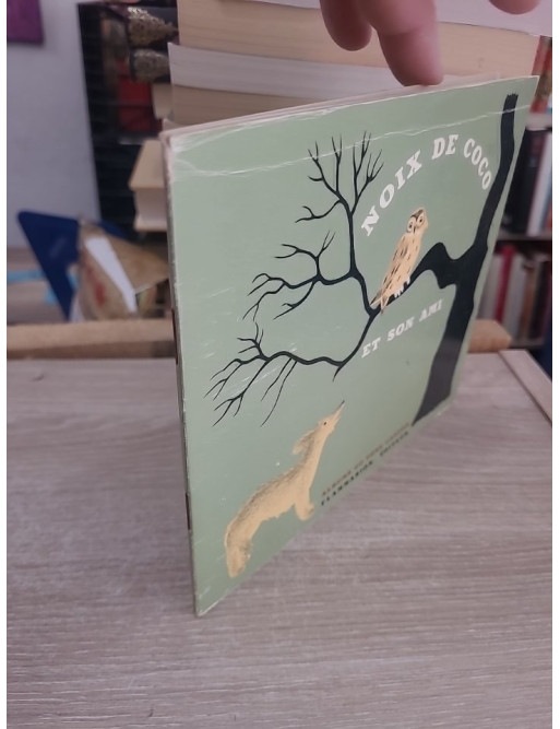 Noix de Coco et son ami - Album jeunesse Flammarion