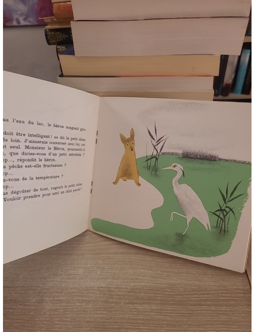 Noix de Coco et son ami - Album jeunesse Flammarion