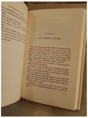 Les Malheurs de Sophie - Classique jeunesse illustré