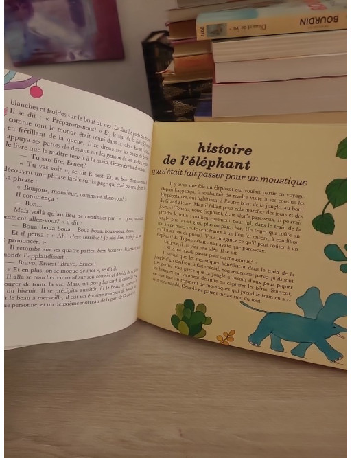 De quoi encore ? - Livre jeunesse illustré