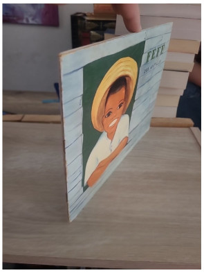 Féfé des Antilles - Album jeunesse illustré Flammarion