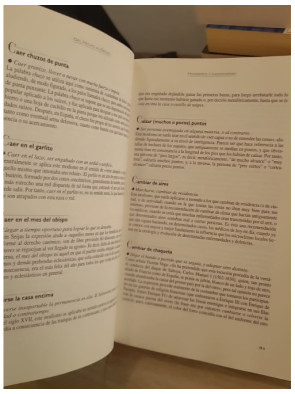 Del hecho al dicho - From the Fact that... Said, dictionnaire d'expressions