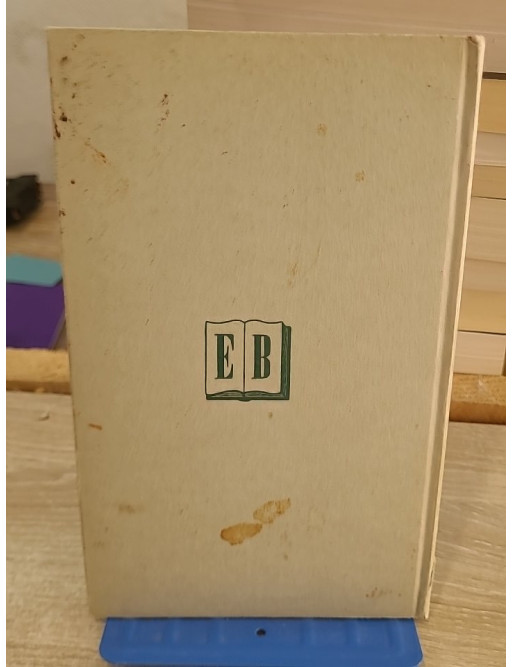 A Concise Word Book For Boys And Girls - Dictionnaire éducatif