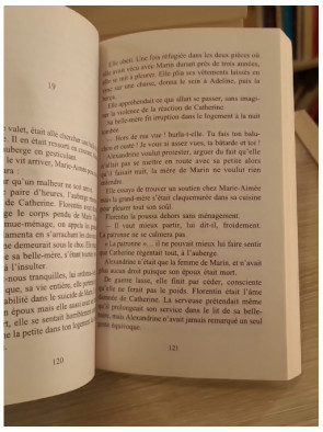 La Roche au Loup - Françoise Bourdon