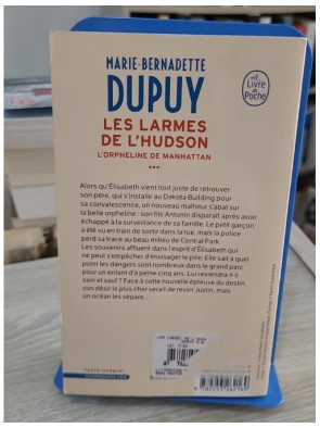 Les larmes de l'Hudson - L'Orpheline de Manhattan Tome 3 - Marie-Bernadette Dupuy
