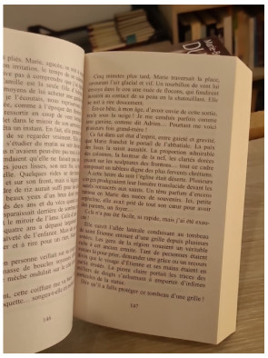 La Demoiselle des Bories - Marie-Bernadette Dupuy