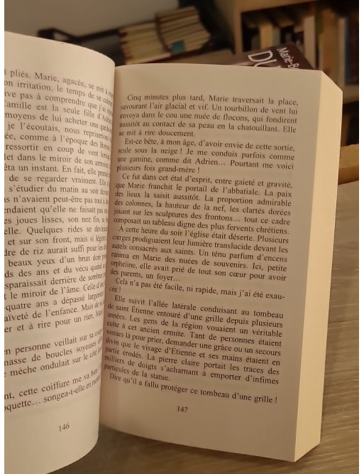 La Demoiselle des Bories - Marie-Bernadette Dupuy