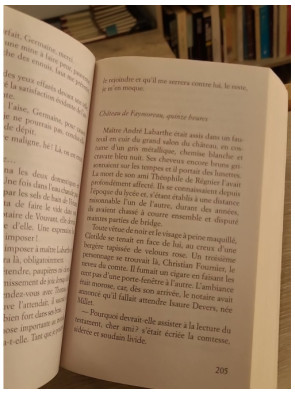 La Galerie des jalousies - Tome 3 - Marie-Bernadette Dupuy