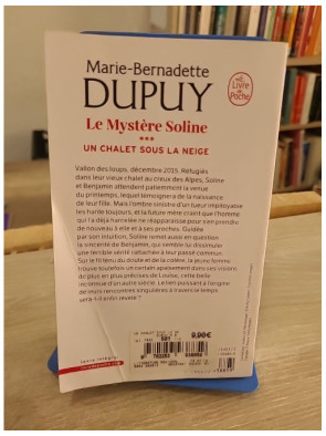 Un Chalet sous la neige - Le Mystère Soline Tome 3 - Marie-Bernadette Dupuy