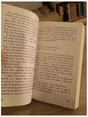 Un Chalet sous la neige - Le Mystère Soline Tome 3 - Marie-Bernadette Dupuy