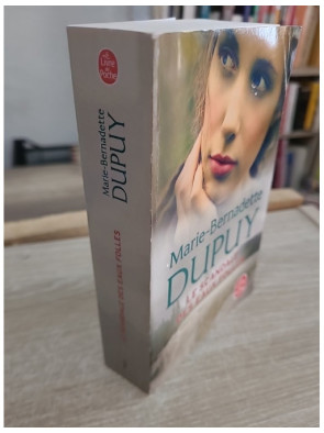 Le Scandale des eaux folles - Tome 1 - Marie-Bernadette Dupuy