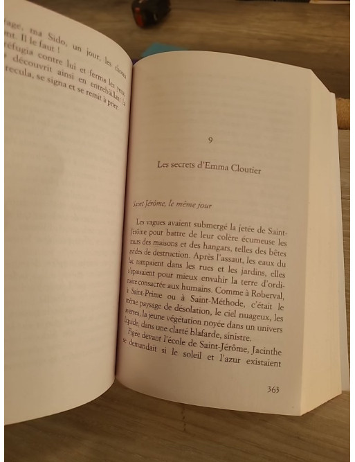 Le Scandale des eaux folles - Tome 1 - Marie-Bernadette Dupuy