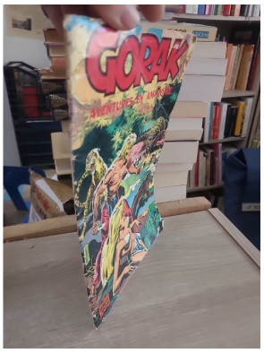 Gorak N°2 : Aventures en Amazonie - Bande dessinée d'aventure en milieu amazonien