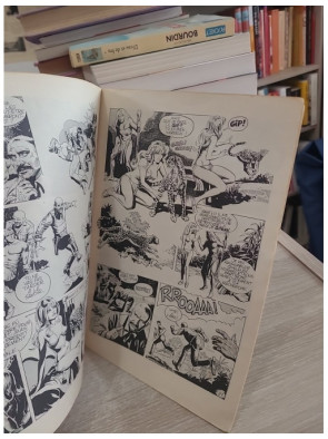 Gorak N°2 : Aventures en Amazonie - Bande dessinée d'aventure en milieu amazonien