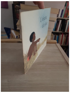 L'oiseau de pluie - Conte jeunesse du Père Castor