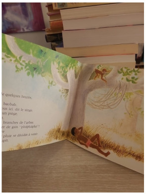 L'oiseau de pluie - Conte jeunesse du Père Castor