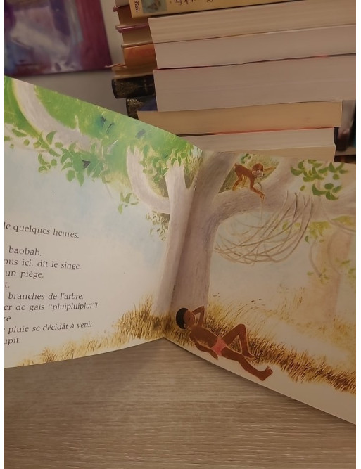 L'oiseau de pluie - Conte jeunesse du Père Castor