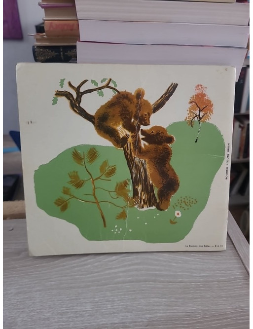 Bourru l'ours brun - Albums du Père Castor - Lida