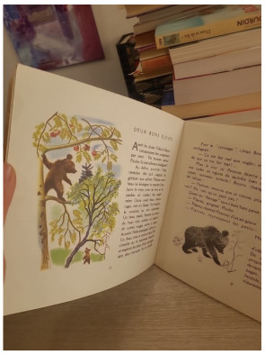 Bourru l'ours brun - Albums du Père Castor - Lida