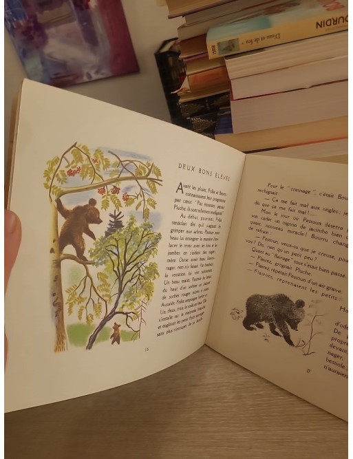 Bourru l'ours brun - Albums du Père Castor - Lida